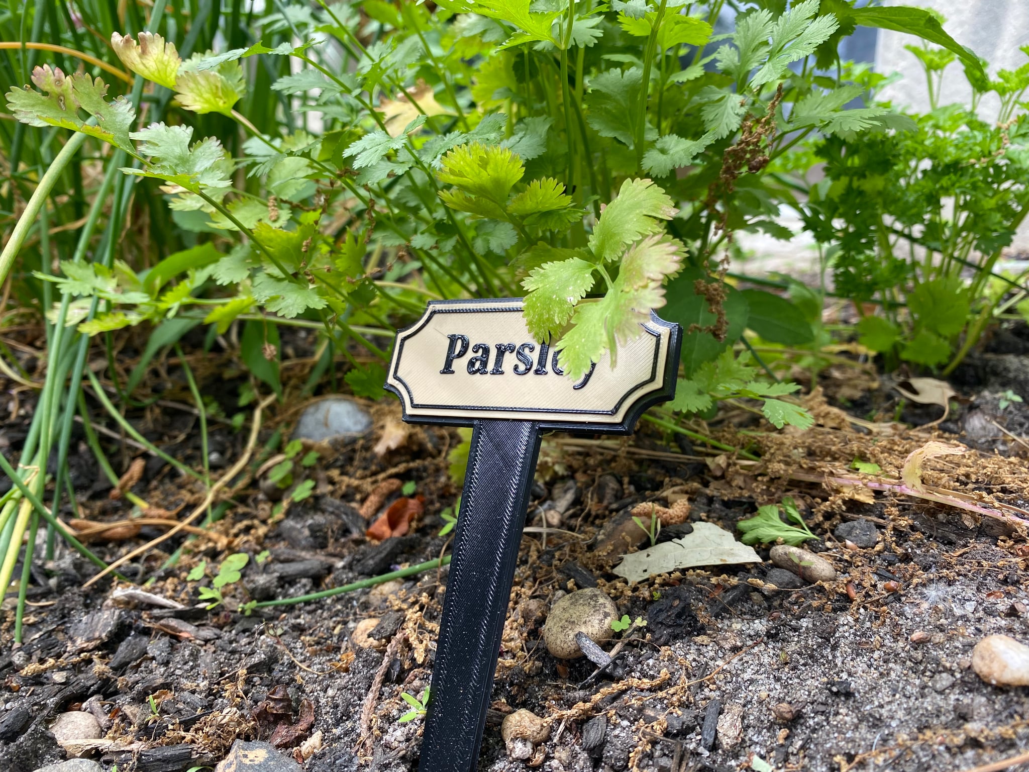 Decorative Garden Plant Markers